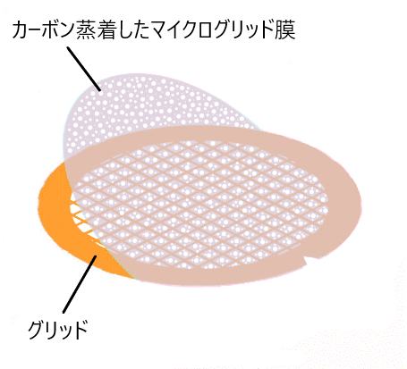 マイクログリッド膜貼付メッシュ – Nisshin-EM