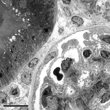 いくみ様専門ページ GOOD GOODS ISSEY MIYAKE アイテムシリーズ BENT – isseymiyake.com