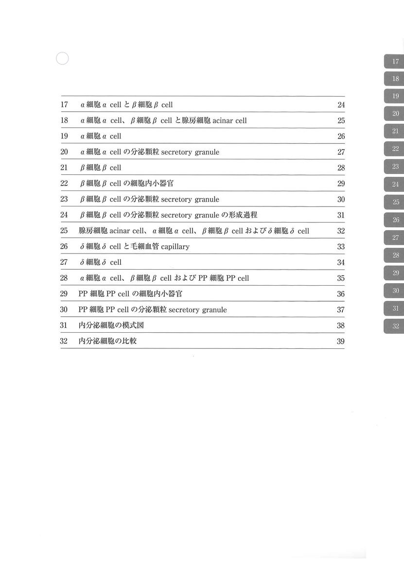 電子顕微鏡アトラス ラットの正常構造 8 膵臓 -腺房と