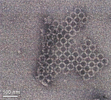 画像をギャラリービューアに読み込む, C型ディッパー