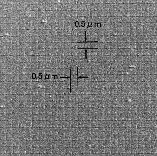 SEMグレーティングレプリカ