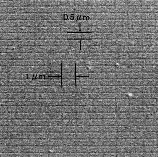 SEMグレーティングレプリカ