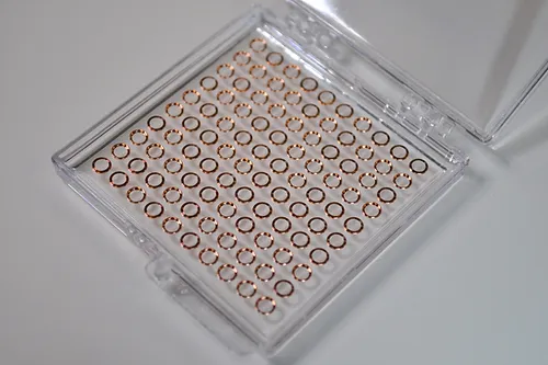 オートグリッド　リング＆Cクリップ