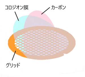 コロジオン膜貼付メッシュ