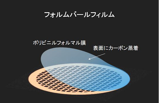 フォルムバール支持膜