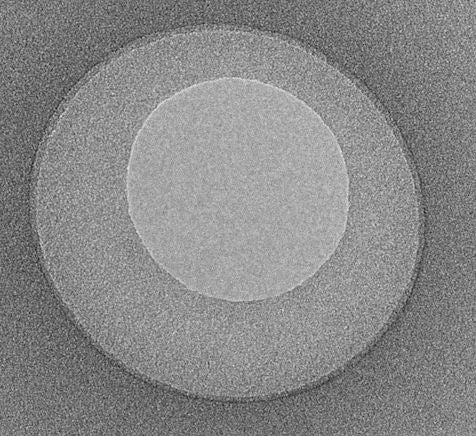 非点収差補正用マイクログリッド