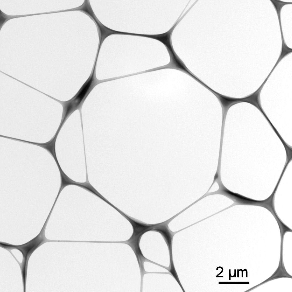機能性マイクログリッド（Fシリーズ）