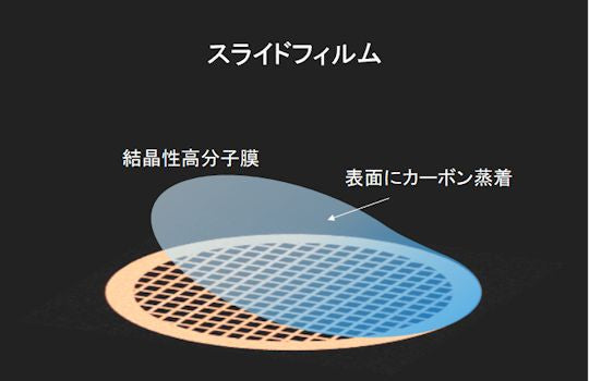 スライドフィルム支持膜