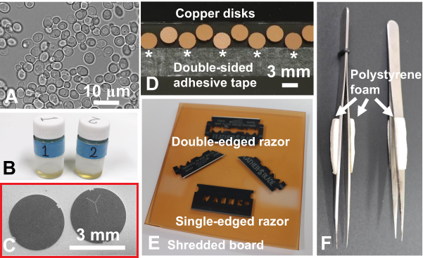 サンドイッチ凍結法用グリッド