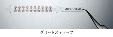 グリッドスティック