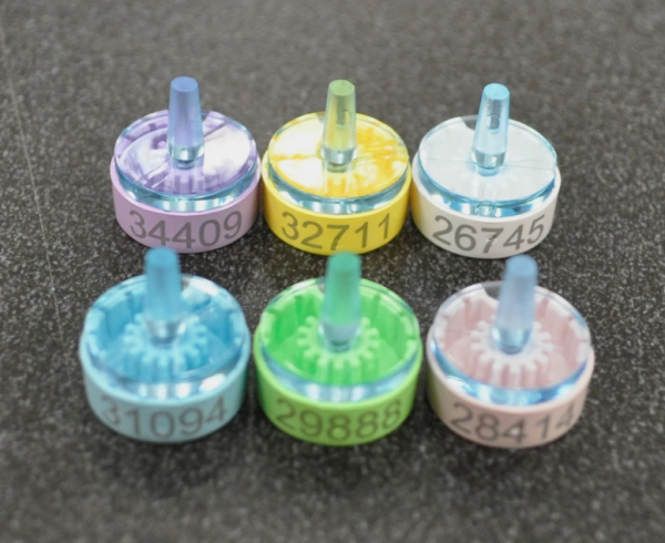 バルク　グリッドボックス