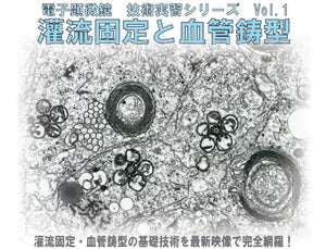 DVD"Perfusion Fixation and Vascular Template"