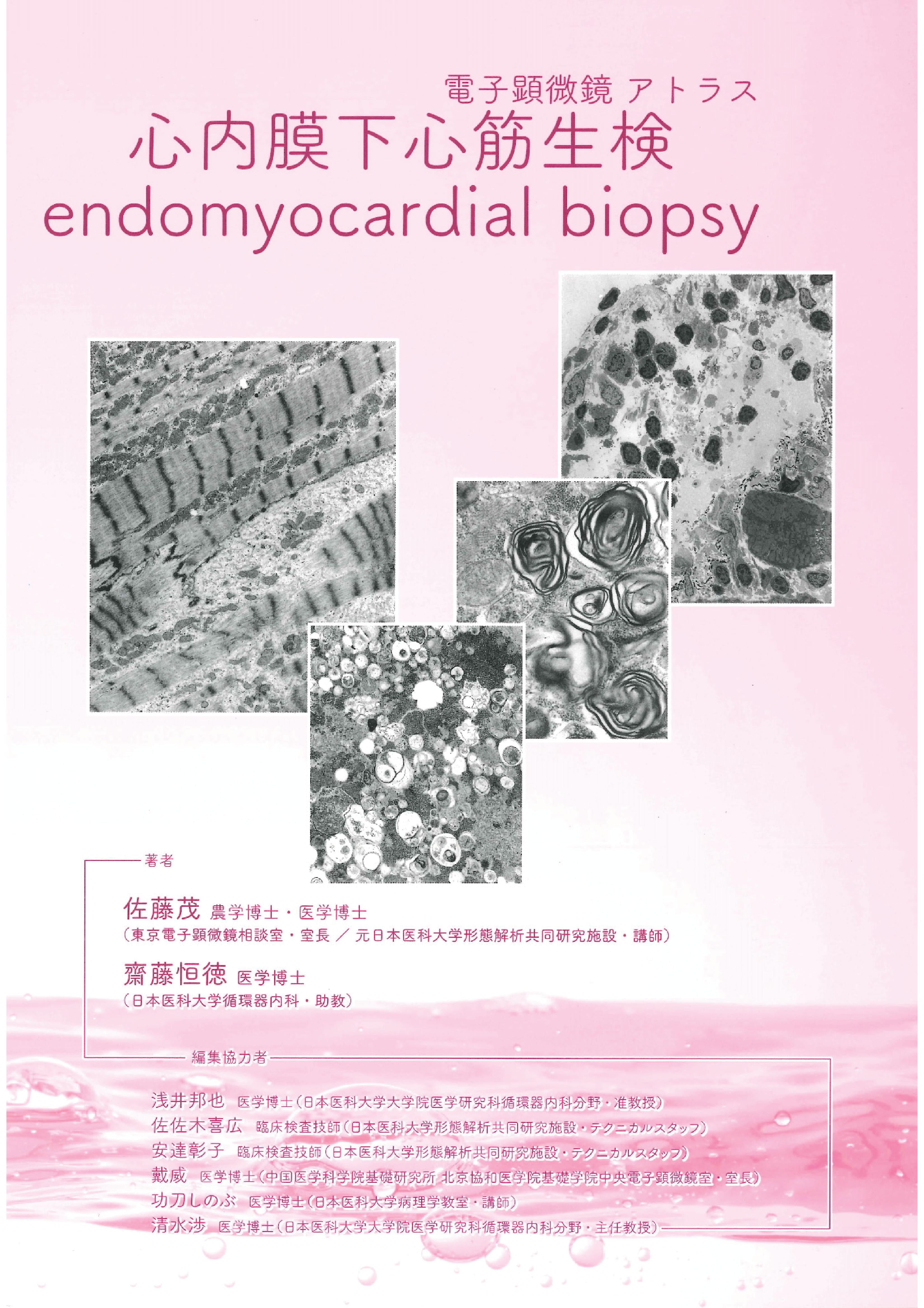 電子顕微鏡アトラス 心内膜下心筋生検 endomyocardial biopsy