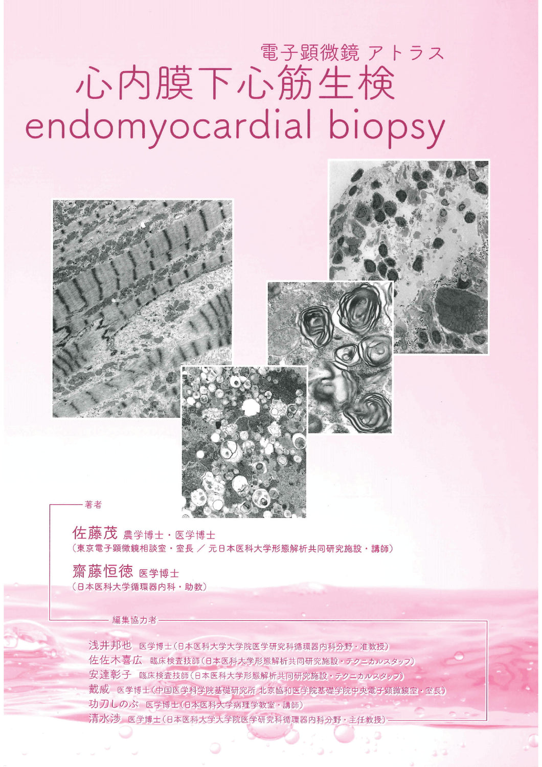 Electron Microscope Atlas Subendocardial Myocardial Biopsy endomyocardial biopsy