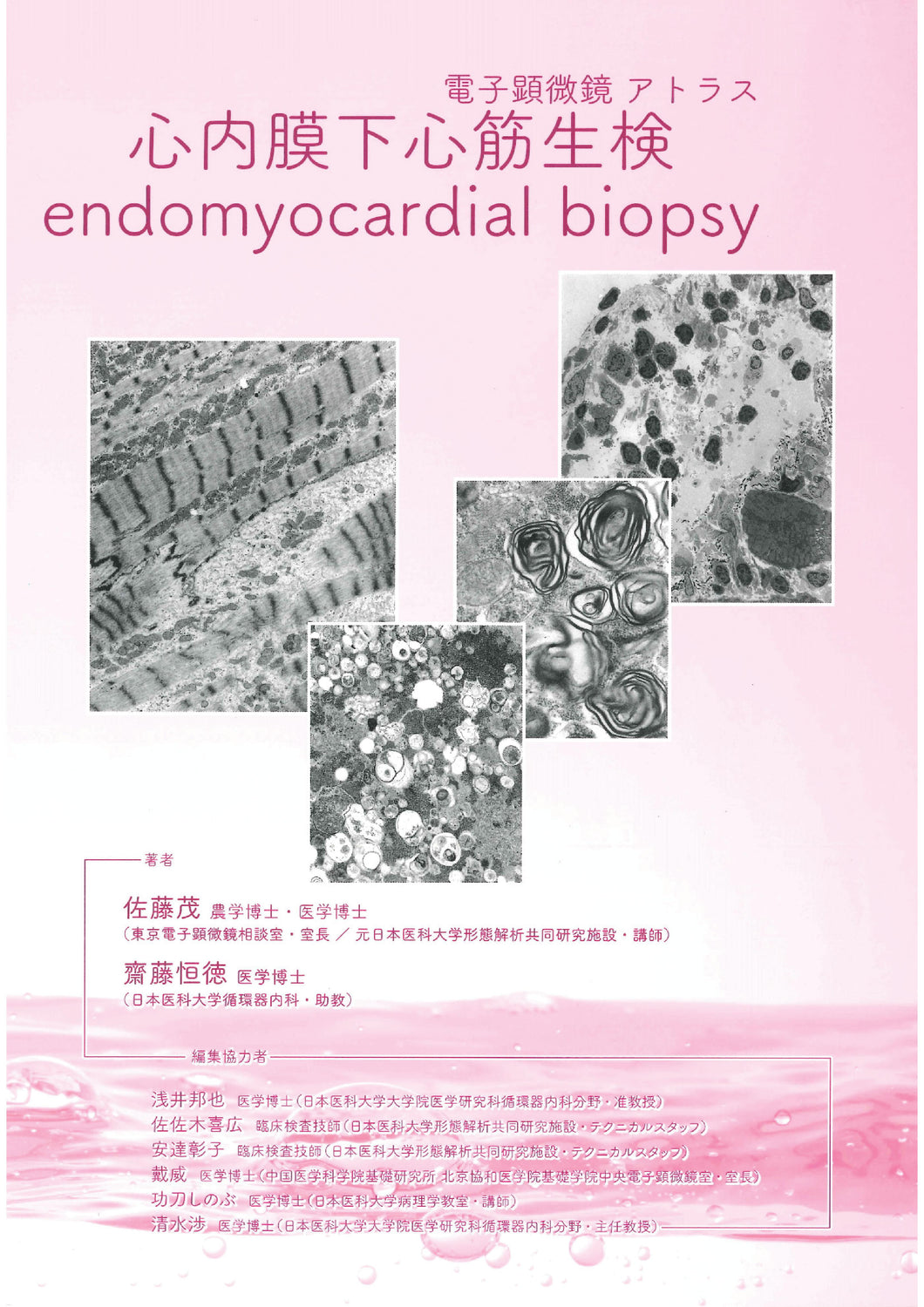 電子顕微鏡アトラス　心内膜下心筋生検　endomyocardial biopsy