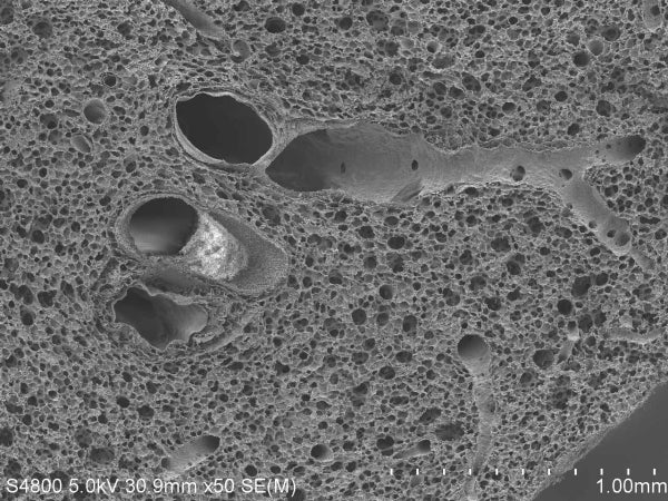 76カミソリ – Nisshin-EM