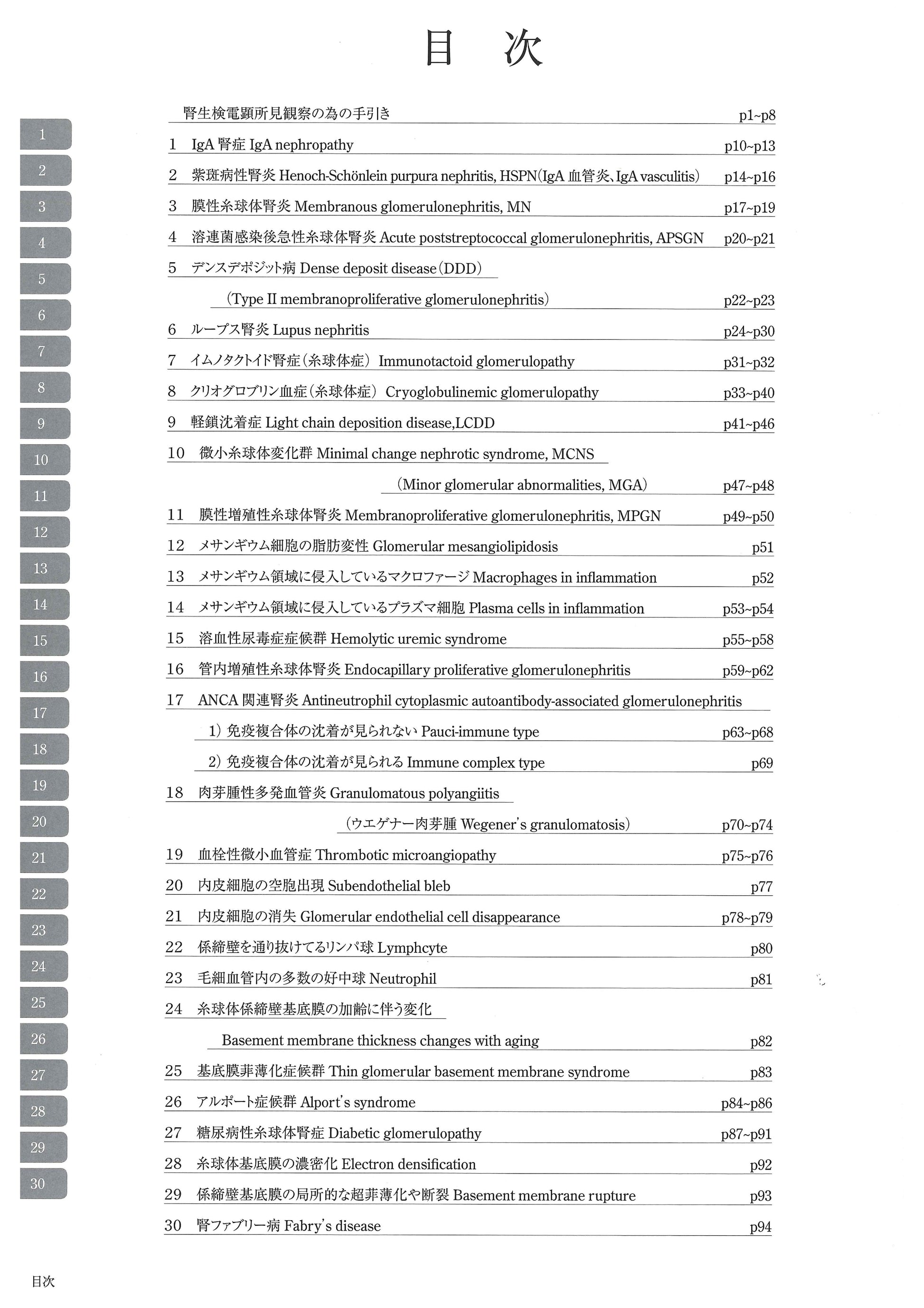 电子显微镜图谱肾活检