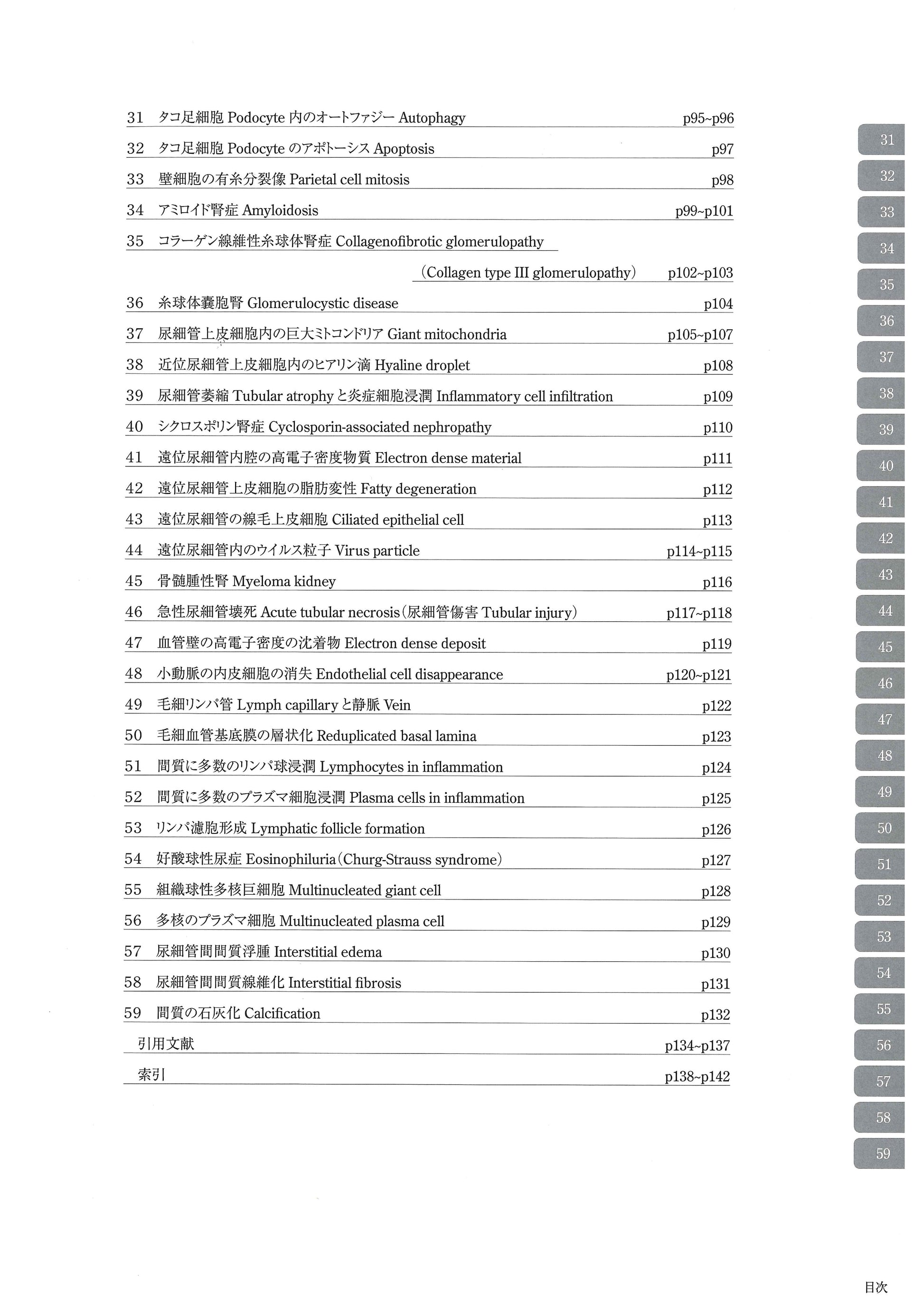 电子显微镜图谱肾活检