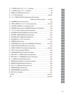 電子顕微鏡アトラス　腎生検　renal biopsy