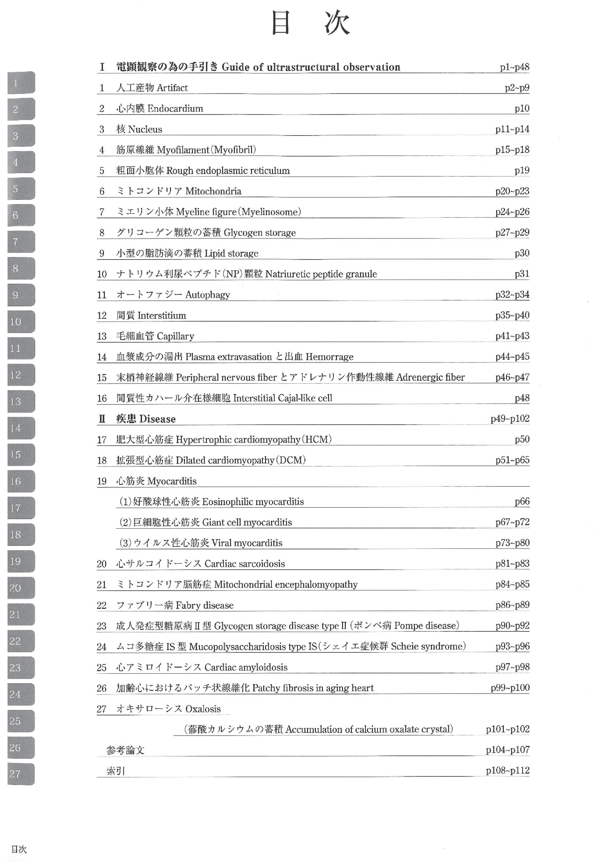电子显微镜图谱 心内膜下心肌活检 心内膜心肌活检