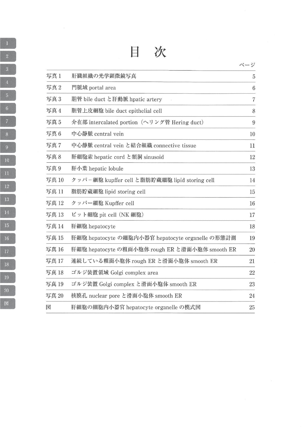 电子显微镜图谱大鼠正常结构 1 肝脏 肝脏