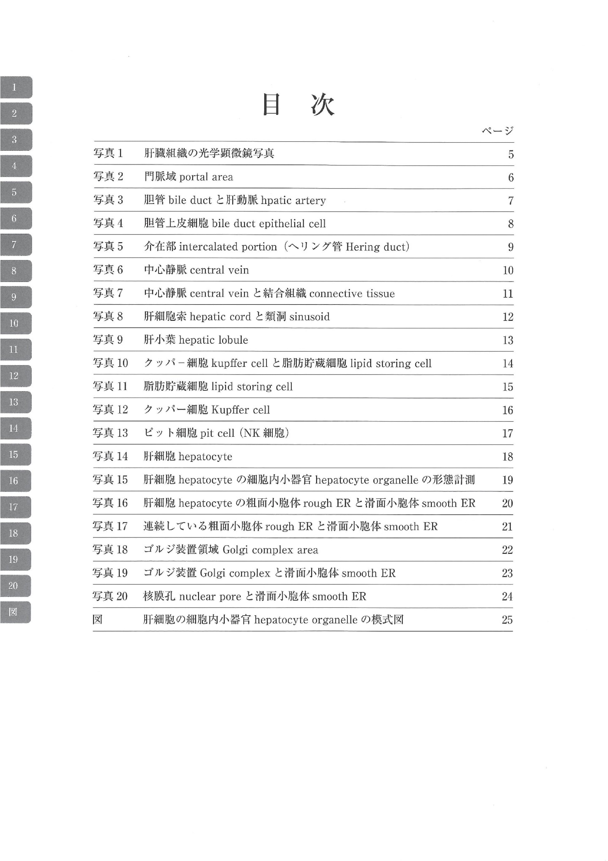 电子显微镜图谱大鼠正常结构 1 肝脏 肝脏