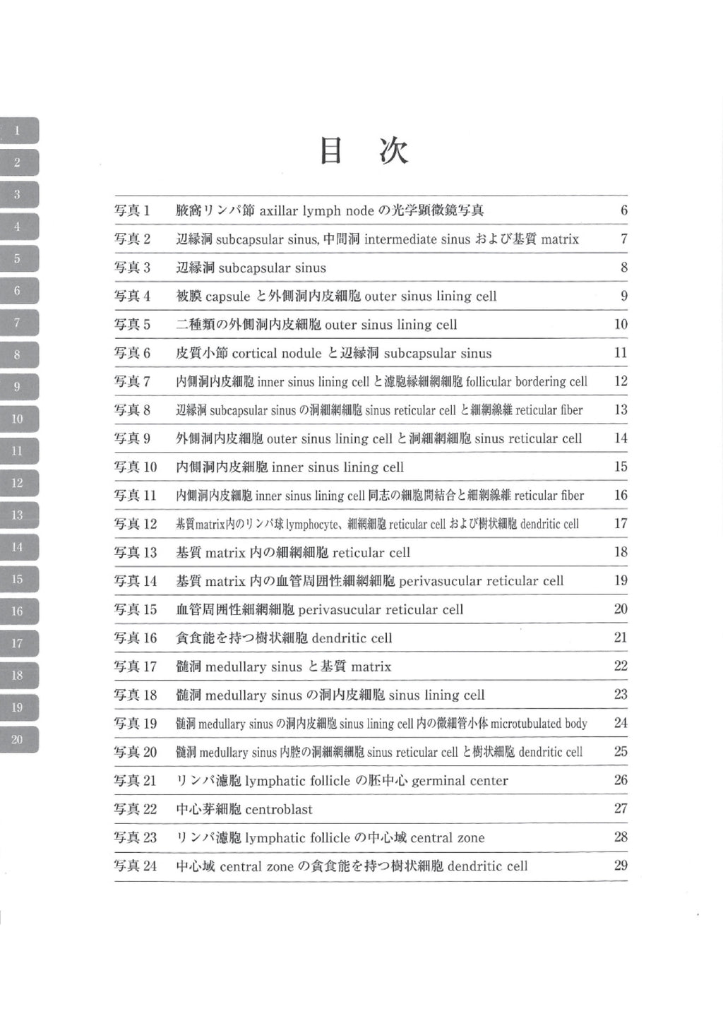 电子显微镜图谱大鼠正常结构 2 淋巴结 淋巴结
