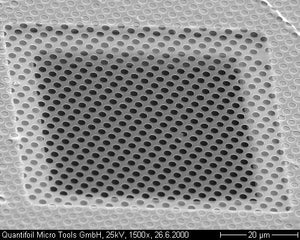 QUANTIFOIL 多孔碳支撑膜网格