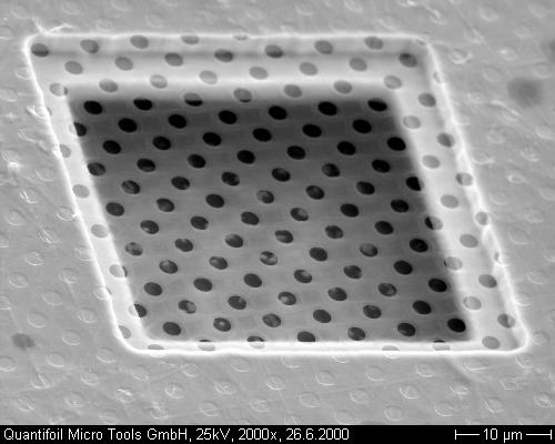 QUANTIFOIL Holey Carbon support film Grids – Nisshin-EM