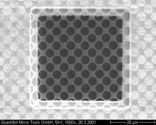 将图片加载到图库查看器，QUANTIFOIL 多孔碳支撑膜网格
