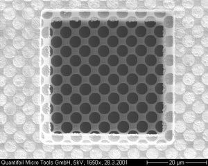 QUANTIFOIL Holey Carbon support film Grids