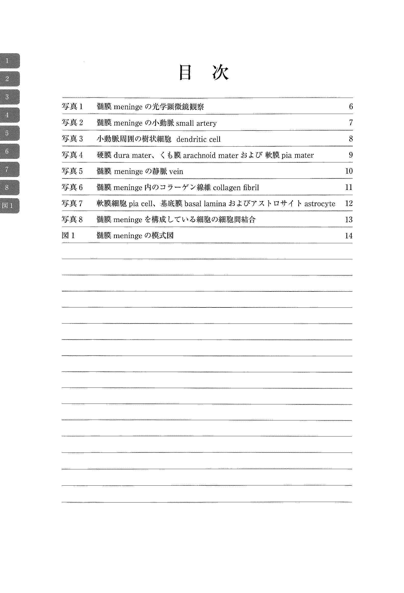电子显微镜 Atlas 大鼠正常结构 5 脑膜，6 大脑皮层