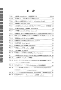 電子顕微鏡アトラス　ラットの正常構造　5　髄膜　Meninge,　6　大脳皮質　Cerebral Cortex