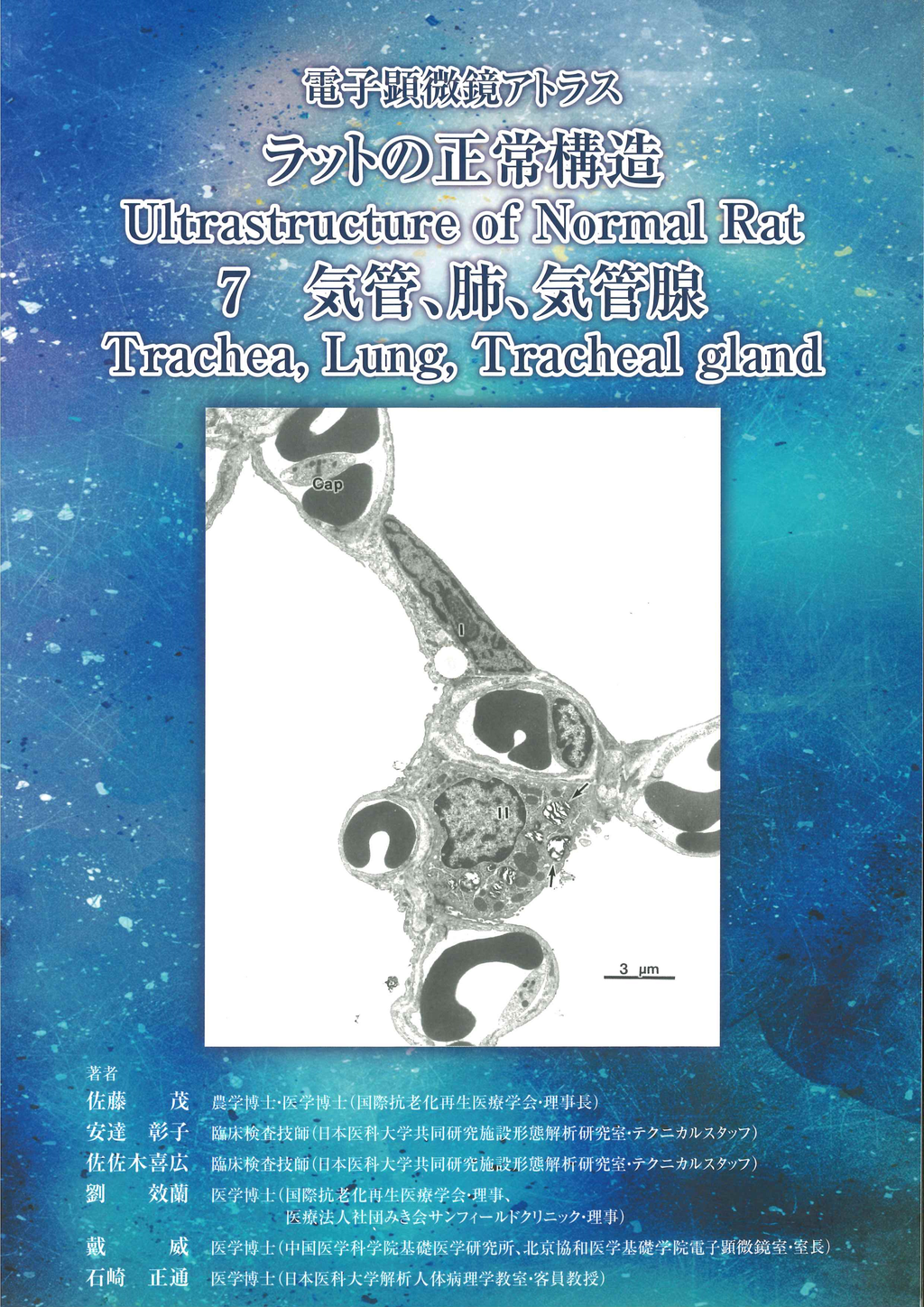 电子显微镜 Atlas 大鼠 正常结构 7 气管、肺、气管腺 气管、肺、气管腺