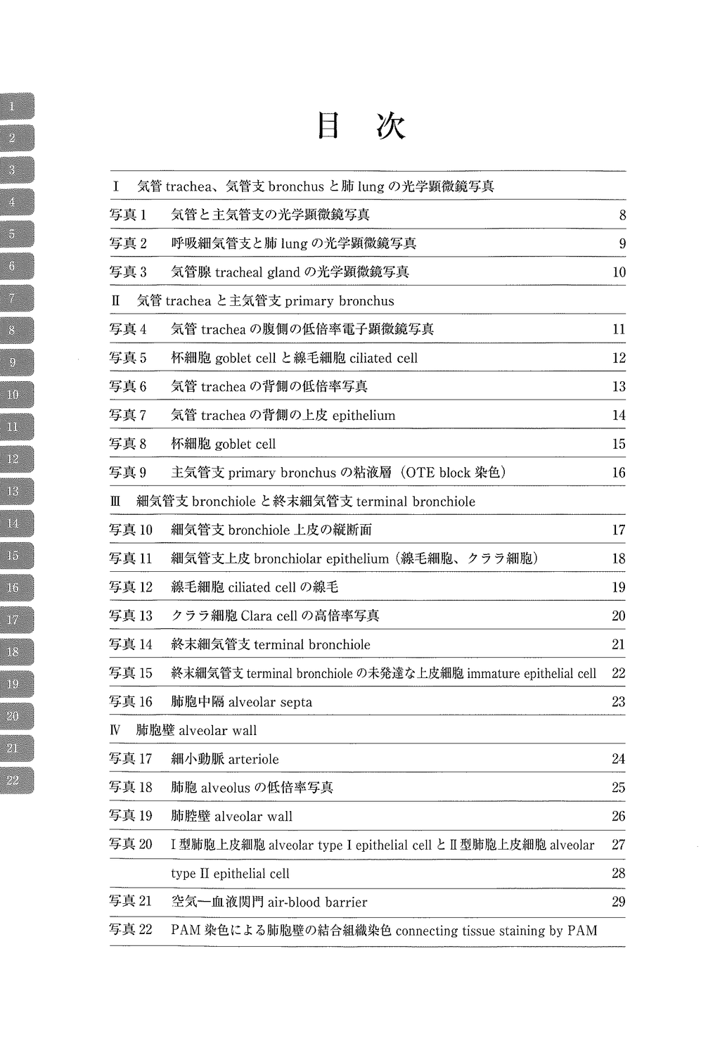 电子显微镜 Atlas 大鼠 正常结构 7 气管、肺、气管腺 气管、肺、气管腺