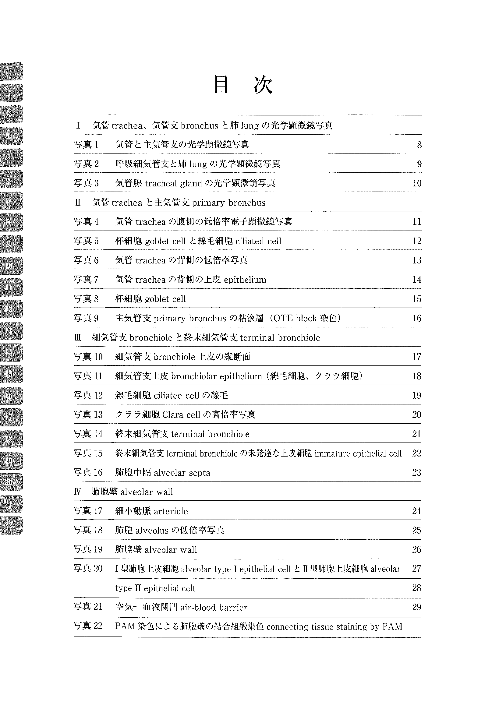 电子显微镜 Atlas 大鼠 正常结构 7 气管、肺、气管腺 气管、肺、气管腺