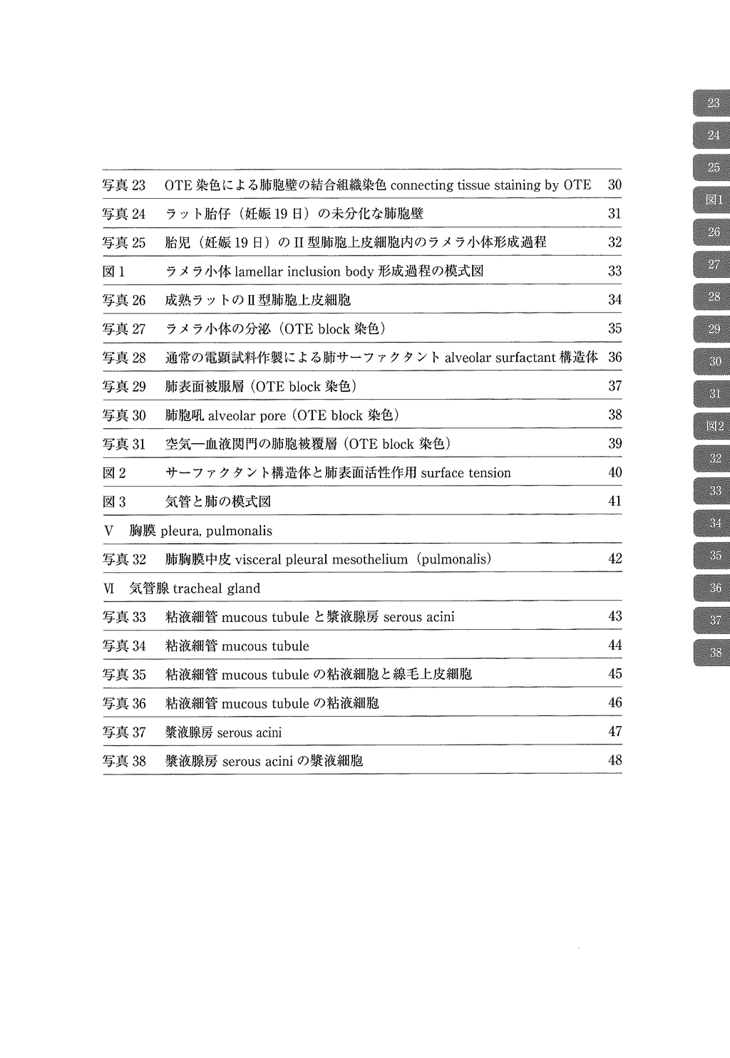 电子显微镜 Atlas 大鼠 正常结构 7 气管、肺、气管腺 气管、肺、气管腺