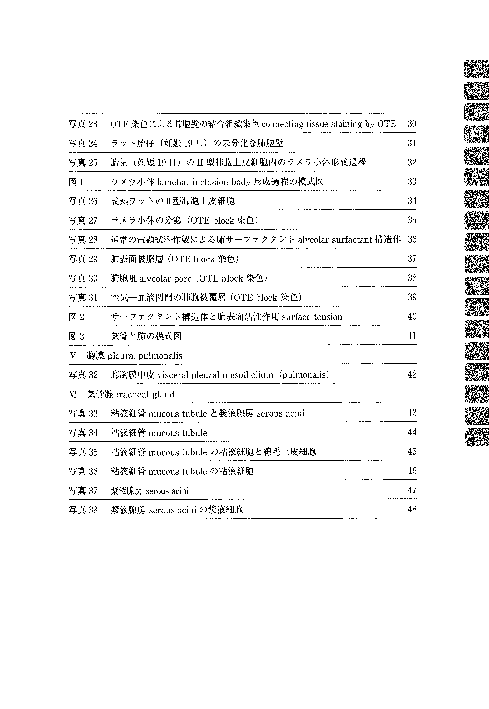 电子显微镜 Atlas 大鼠 正常结构 7 气管、肺、气管腺 气管、肺、气管腺
