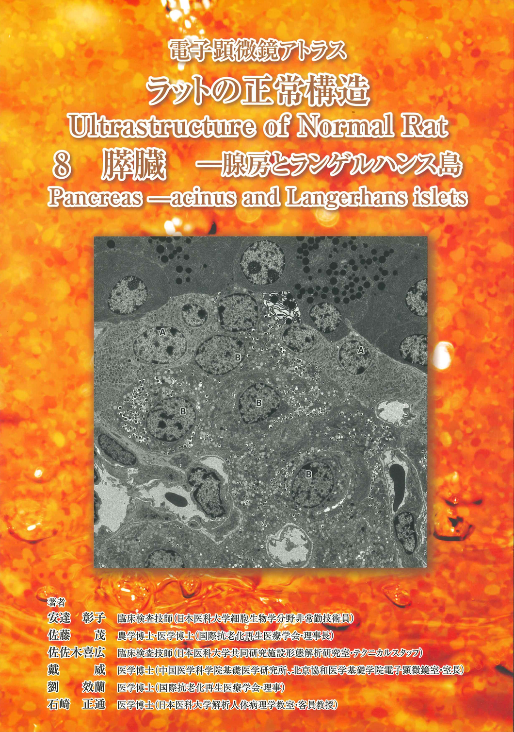 ※極・入手困難※ 岡田光学 昭和十年代 【各種兵器光学系統図】 レンズ 兵器製造 極・入手困難※ 岡田光学 昭和十年代 【各種兵器光学系統図