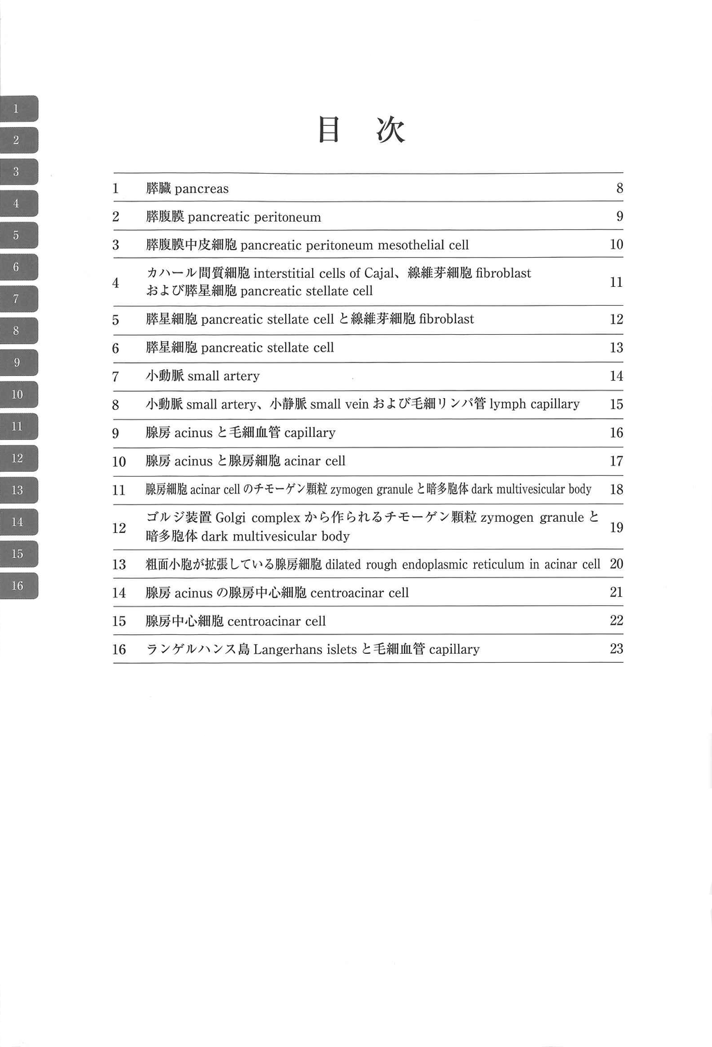 電子顕微鏡アトラス　ラットの正常構造　8　膵臓 -腺房とランゲルハンス島