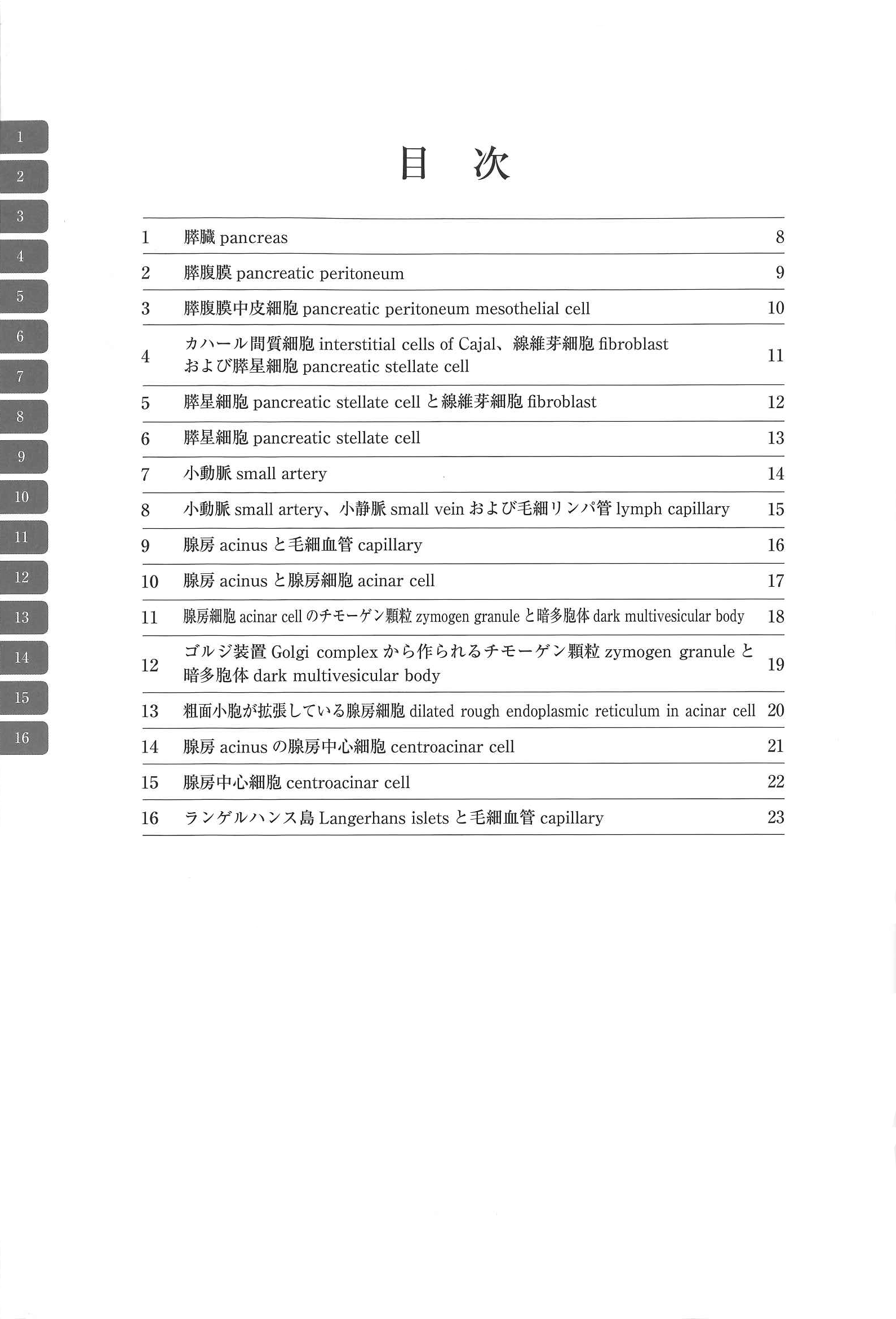 電子顕微鏡アトラス　ラットの正常構造　8　膵臓 -腺房とランゲルハンス島