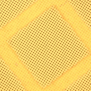 QUANTIFOIL Holey Carbon support film Grids